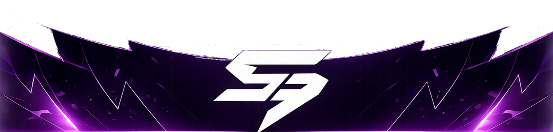 Banner Footer